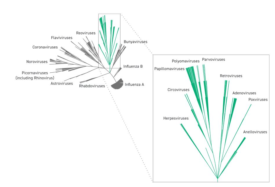 ngs_comprehensive-viral-research-panel