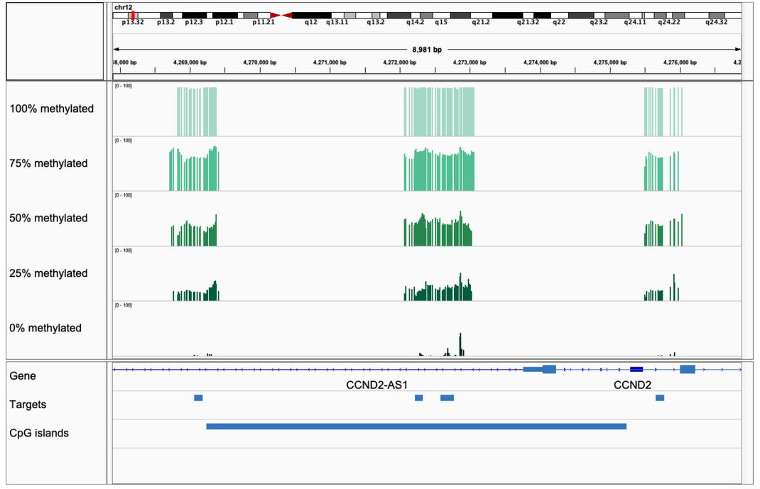 ngs_ngs-methylation-detection-system_2