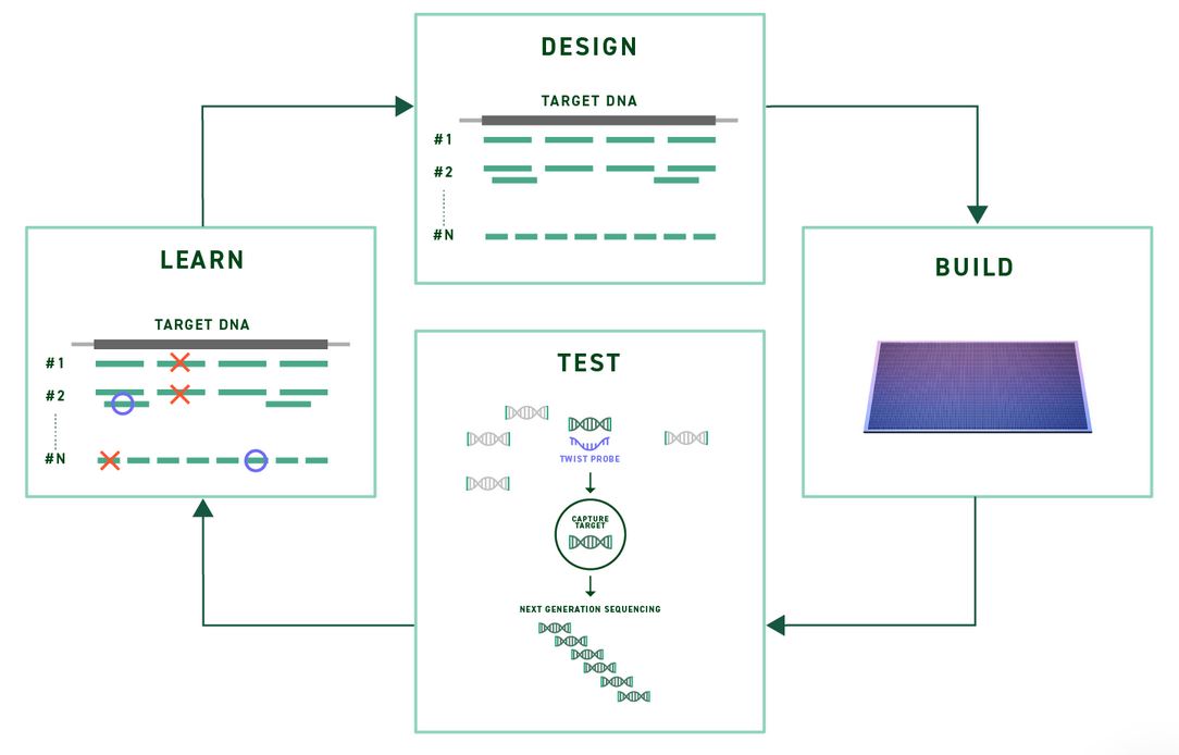 ngs_twist-custom-panels_1