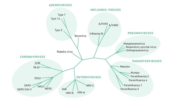 virus_2 virus_2