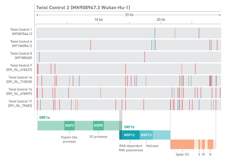 SARS_COVID_variants